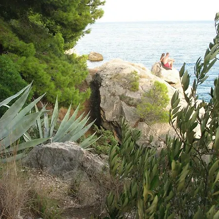 Eliva * Trogir